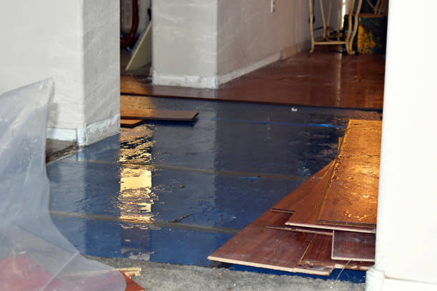 Professional Water Damage Restoration technician working in Holgate, OH